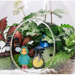 Terrarium Plante Verre Borosilicate Transparent - VIVARIUM PRO