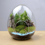 Terrarium Plante Verre Borosilicate Transparent - VIVARIUM PRO