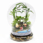 Terrarium Plante Sphérique Divisible Verre Borosilicate - VIVARIUM PRO