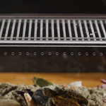 Boîte d'Alimentation Reptiles et Insectes – Terrarium Acrylique - VIVARIUM PRO